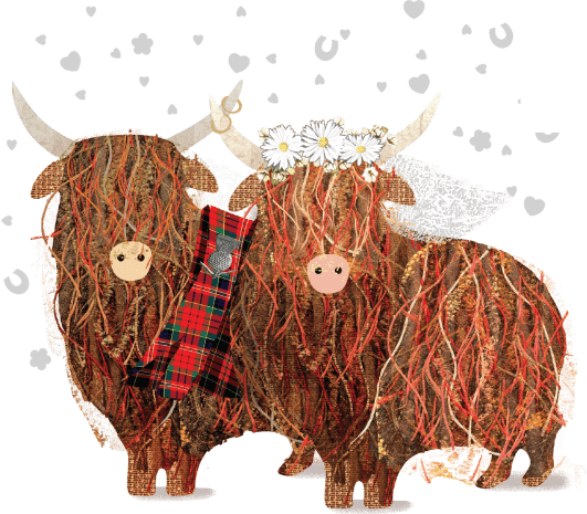 Highland cows wedding illustration