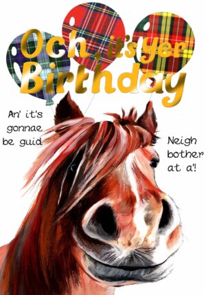 Birthday Shetland Pony Card WWBD201