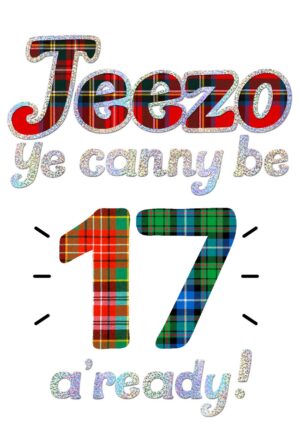 Birthday Jeezo Age 17 Card WWJZ17